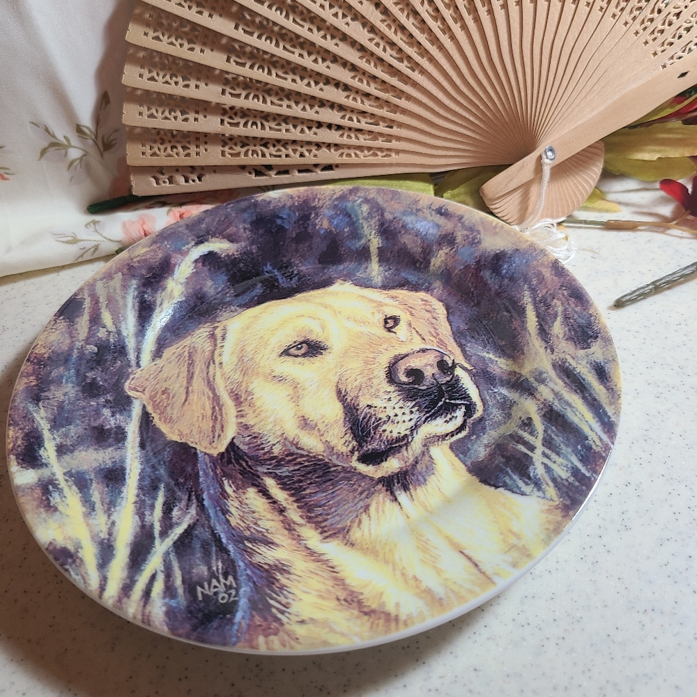 Collectible Plate home decor.